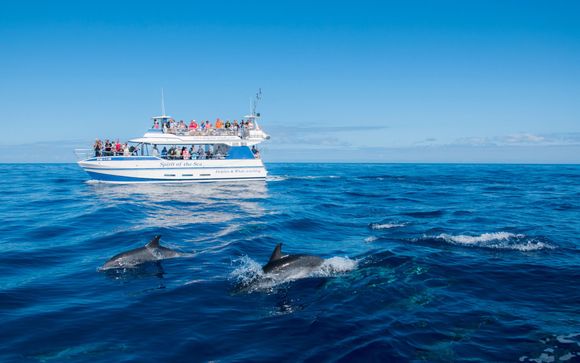 Mettez une option sur l