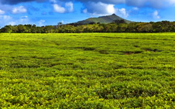 Et pour aller plus loin...