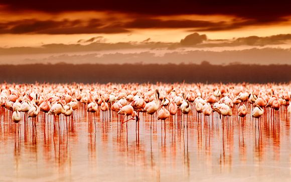 Welkom in... Kenia