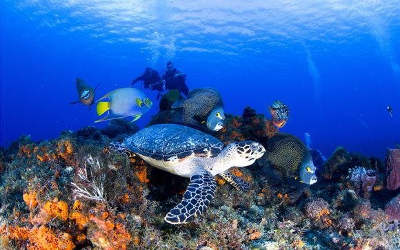 Nos petites astuces pour un séjour idéal