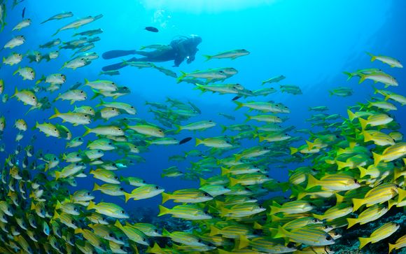 Zoom sur votre programme avec le Carpe Vita