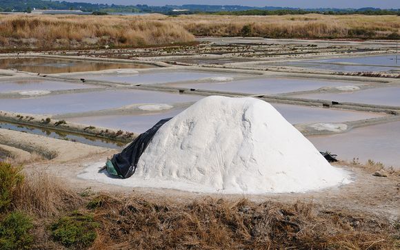 Et pour aller plus loin...