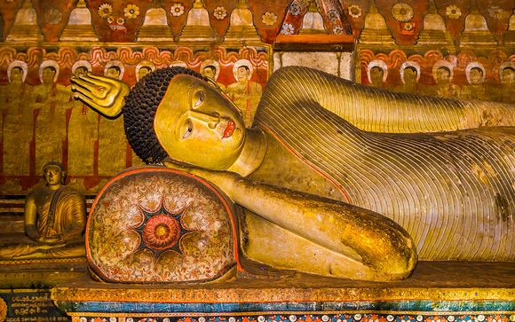 Zoom sur votre programme