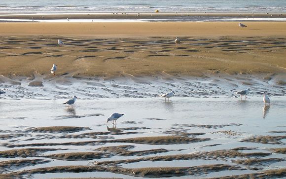 Et pour aller plus loin...