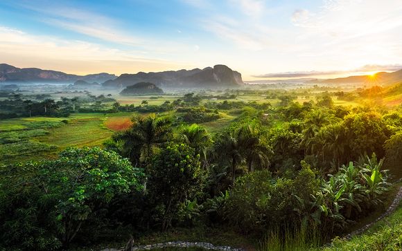 Mettez une option sur l