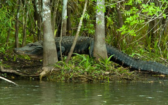 Et pour aller plus loin...