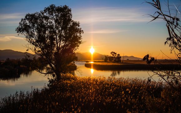Et pour aller plus loin...