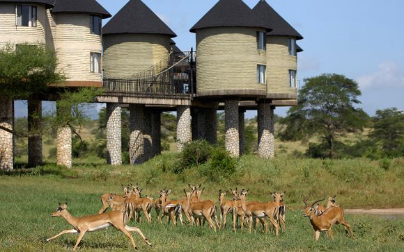Uw accommodatie tijdens de safari