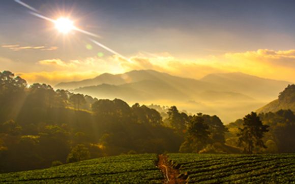 Vos excursions pour plus d