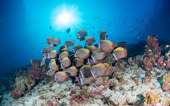 Et pour aller plus loin...