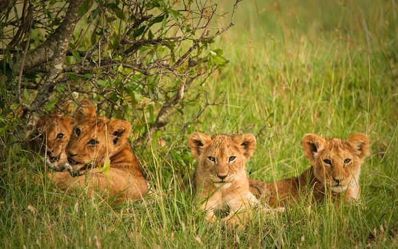 Rendez-vous... au Kenya