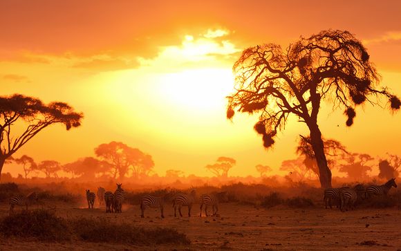 Zoom sur votre programme en 2019