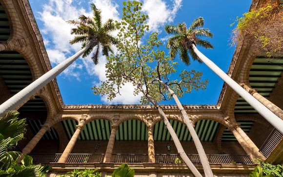 Vos excursions pour plus d