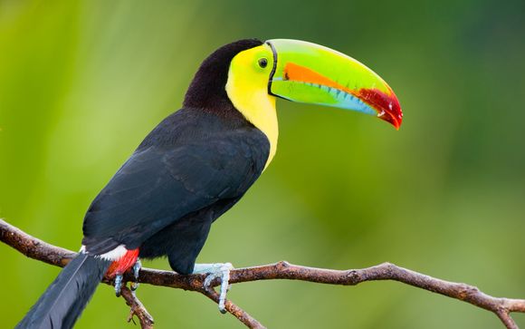 Zoom sur votre programme en 12 nuits