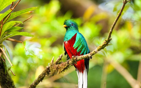 Nos petites astuces pour un séjour idéal