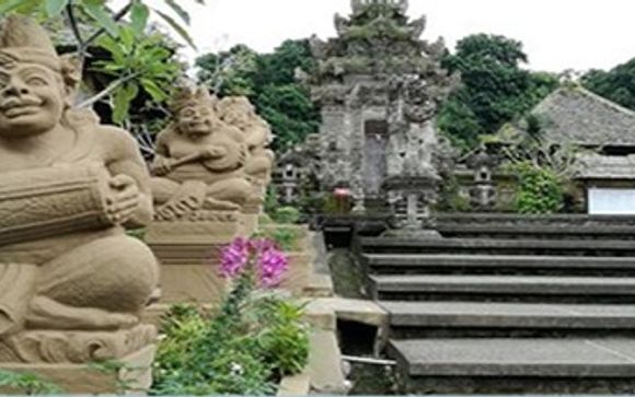 Extra opties op Bali