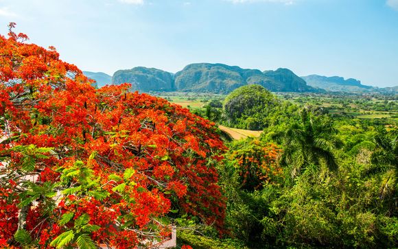 Mettez une option sur l