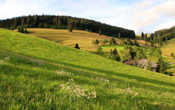 Rendez-vous... à Baden-Baden