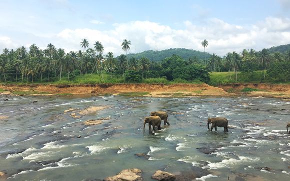 Mettez une option sur l’évasion