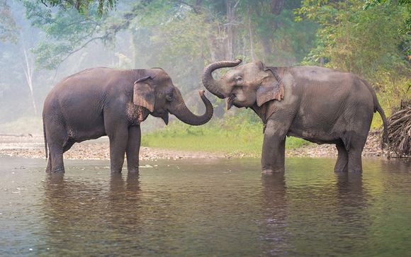 Mettez une option sur l’évasion