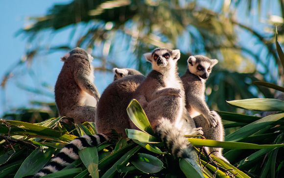 Welkom in... Madagaskar