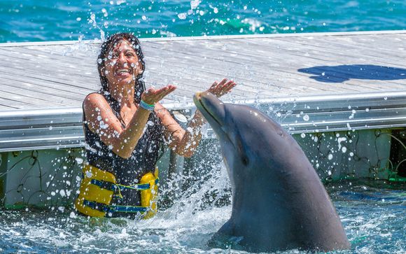 Et pour aller plus loin...