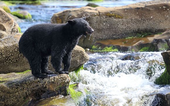 Ihre Rundreise im Detail