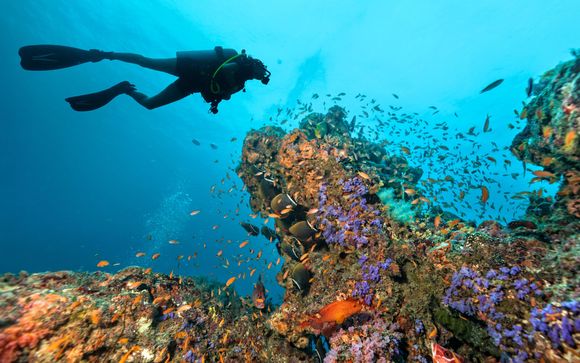 Mettez une option sur l