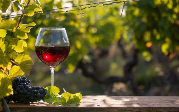 Circuit œnologique côte de Beaune