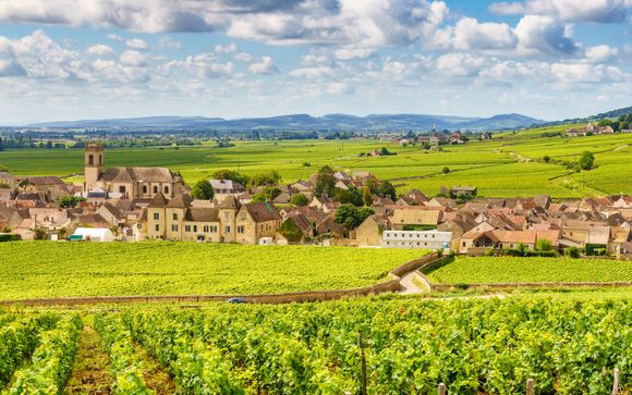 Découverte de la Bourgogne et la côte de Beaune