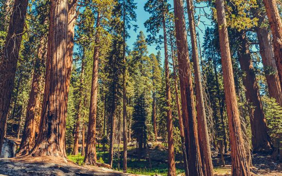 Ihre Rundreise im Überblick