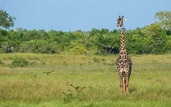 Ihre Safari im Überblick