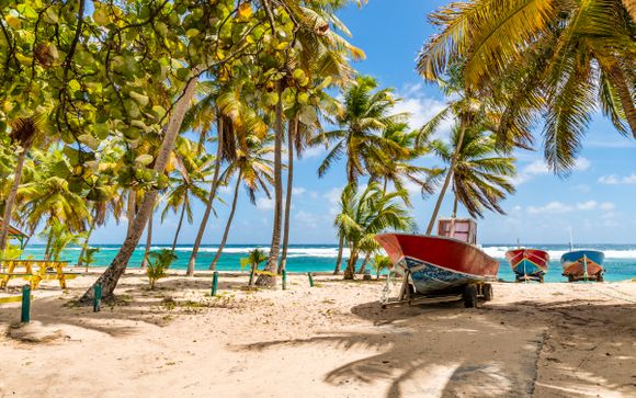 Willkommen auf... den Inseln von Guadeloupe!