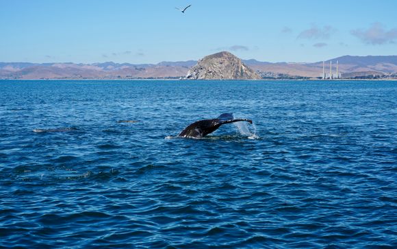 Ihre Rundreise im Überblick