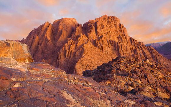 Im Angebot enthalten