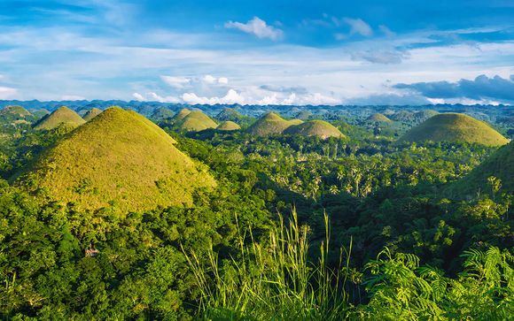 Ihre Ausflugsoptionen