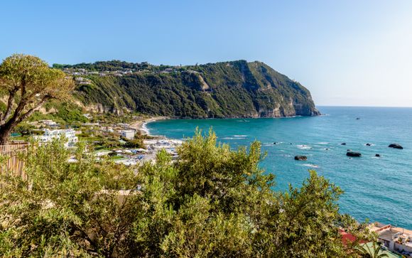 Vos excursions pour plus d