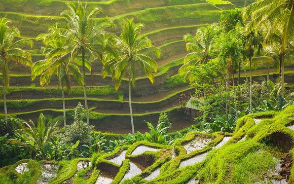Willkommen in Indonesien