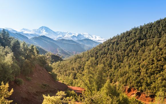 Im Angebot enthalten