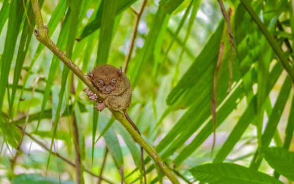 Ihre Rundreise im Überblick