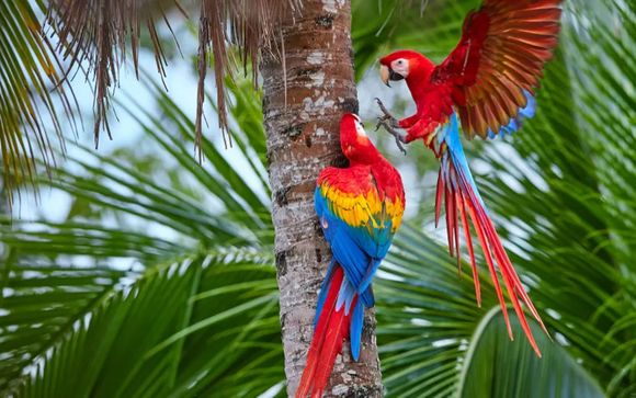 Ihre Rundreise im Detail