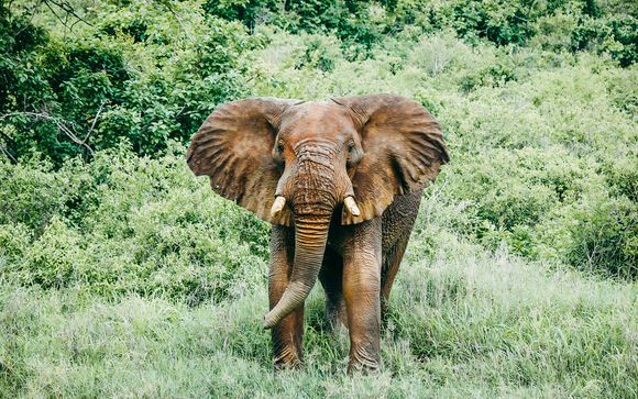Ihre Reise im Überblick