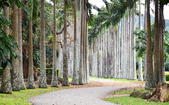 Mettez une option sur l