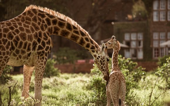 Im Angebot enthalten