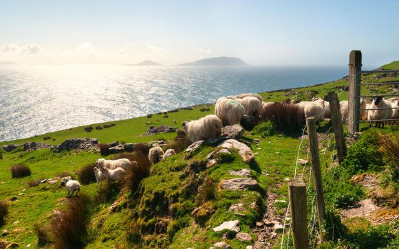 Ihre Autotour im Detail