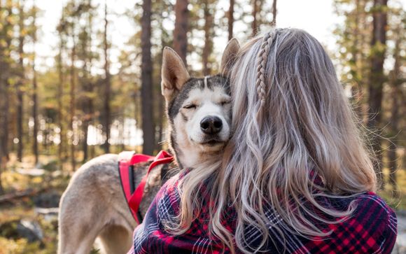 Besuch auf einer Huskyfarm