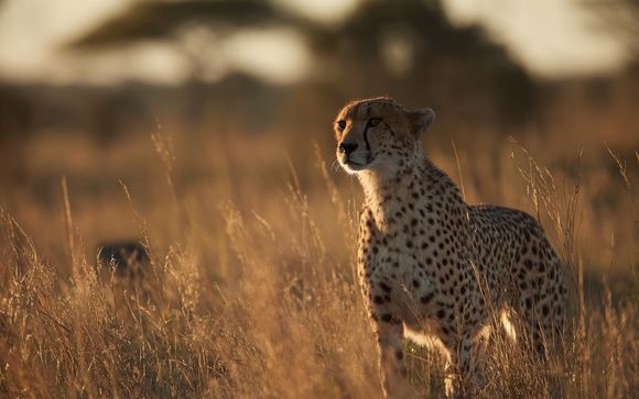 Rendez-vous... en Tanzanie