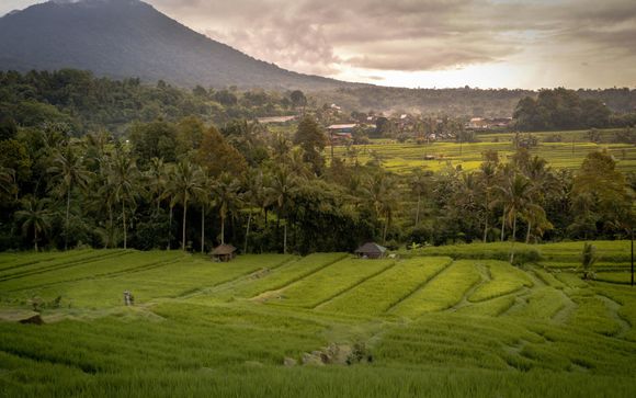 Willkommen in Indonesien