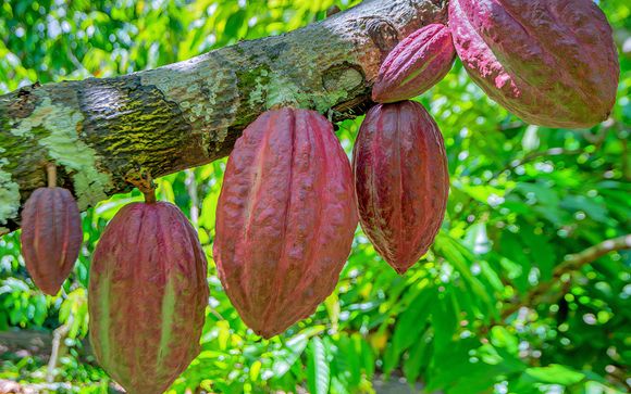 Pour aller plus loin 