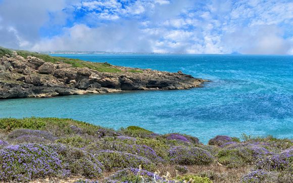 Pour aller plus loin 